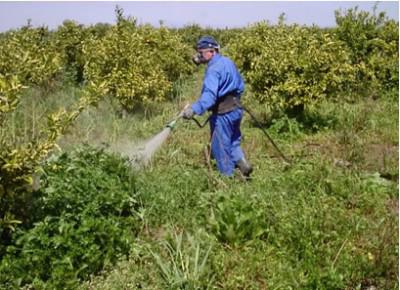 Herbicydy do niszczenia chwastów: odmiany i sposoby działania