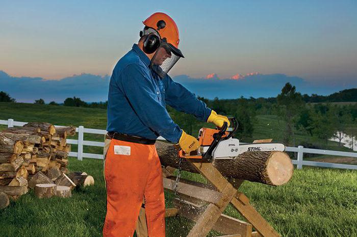 piła łańcuchowa stihl ms 250