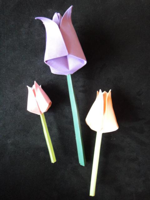 origami papieru tulipan wzór