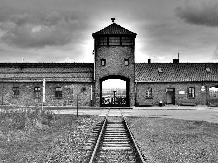 filmy o Auschwitz 