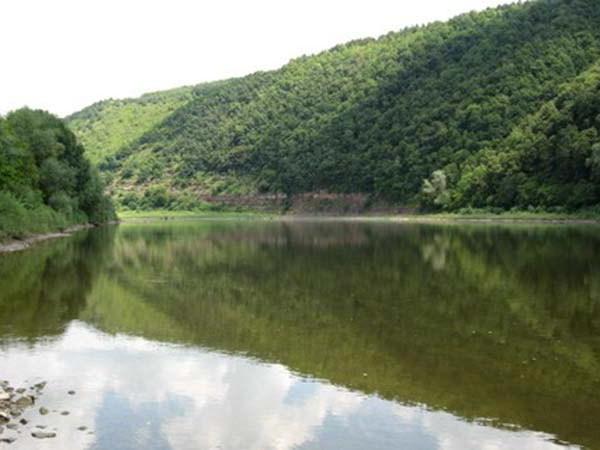 Dla tych, którzy chcą wiedzieć, co jest głupie?