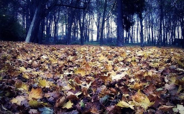 Dwie strony tej samej monety, czyli co to jest jesień?