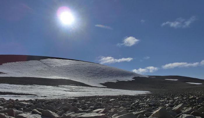 Pas arktyczny: charakterystyczny, natura. Arktyczna strefa klimatyczna