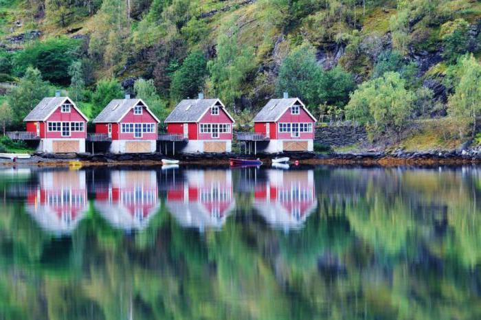 Oficjalny język Norwegii: skąd się wziął, jak wygląda i jakie gatunki dzieli