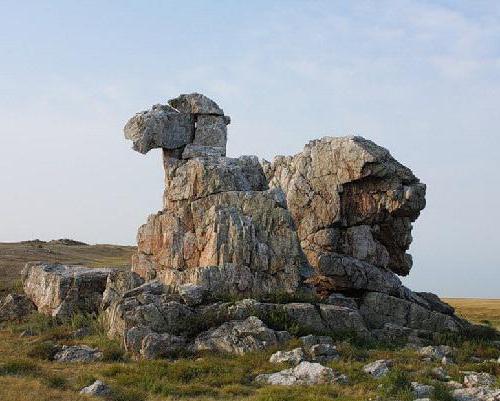 Region Orenburg. Charakter regionu Orenburg (zdjęcie)