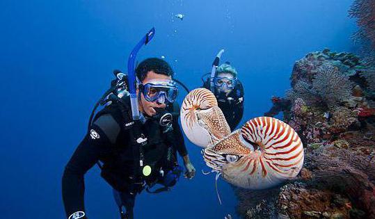 Kraje Oceanii i Australii