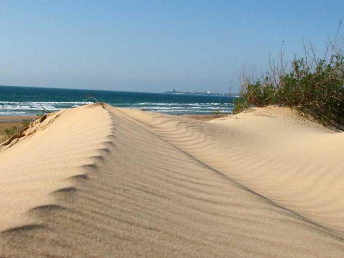 Anapa Dzikie Plaże