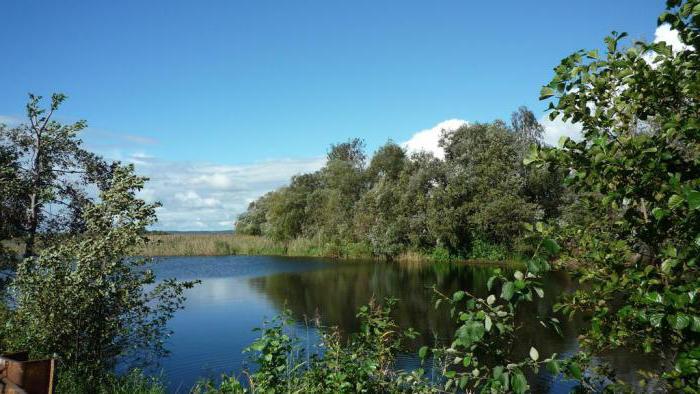 Konstantinovo: zagroda nad jeziorem Seliger