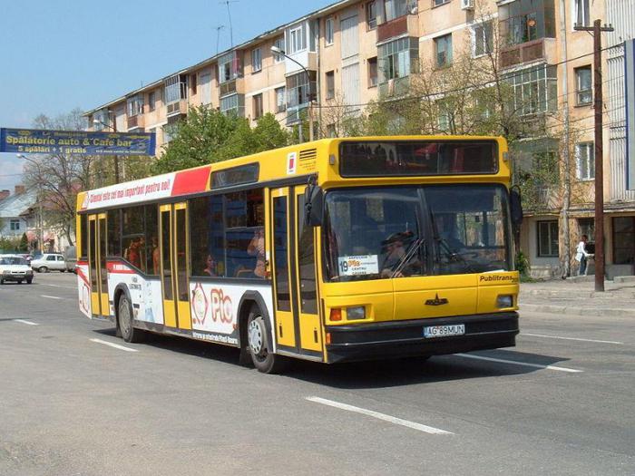 Autobus Orsha Vitebsk 