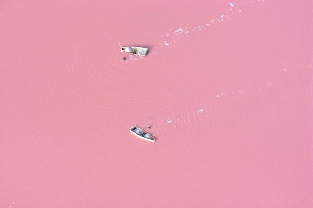 The Pink Lake