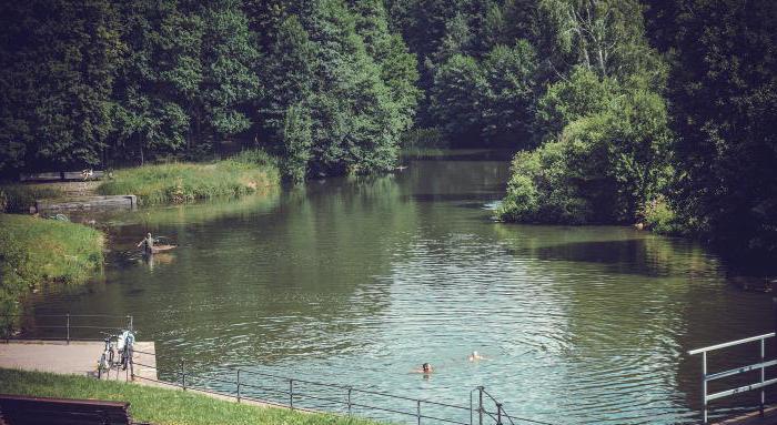 Zbiornik Drozdy to doskonałe miejsce do wypoczynku i wędkowania