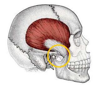 Co zrobić, gdy szczęka boli blisko ucha