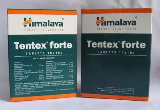 analogi z tentex forte 